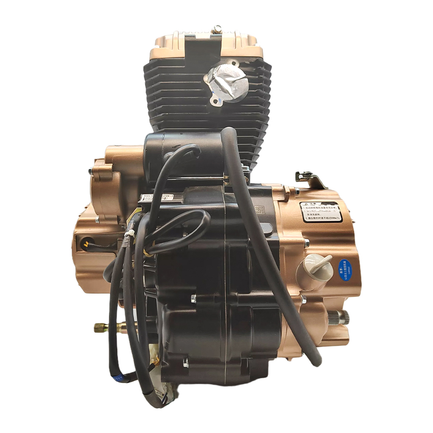 Engine Parts Motorcycle - Zongshen CG200cc Einzylinder 5-Gang-Starthebel Luftgekühlter 4-Takt-Motor