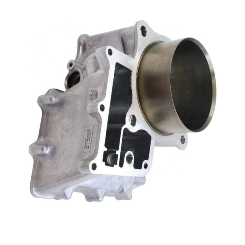 TG55 Teile: Motorrad-Motorzyli – Motorcycle Engine Kit Bewertung und Preis